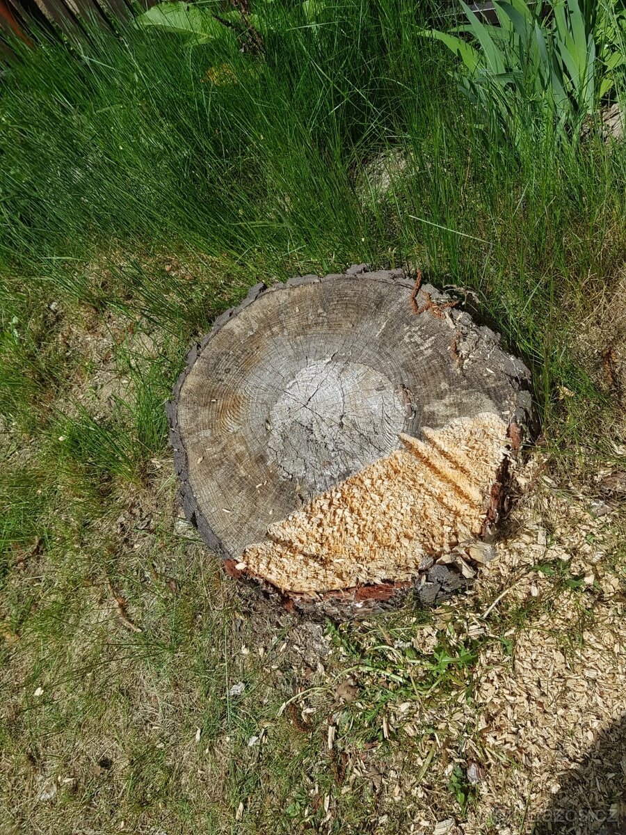 Sekání trávy zástřih živých plotů frézování pařezů - 11