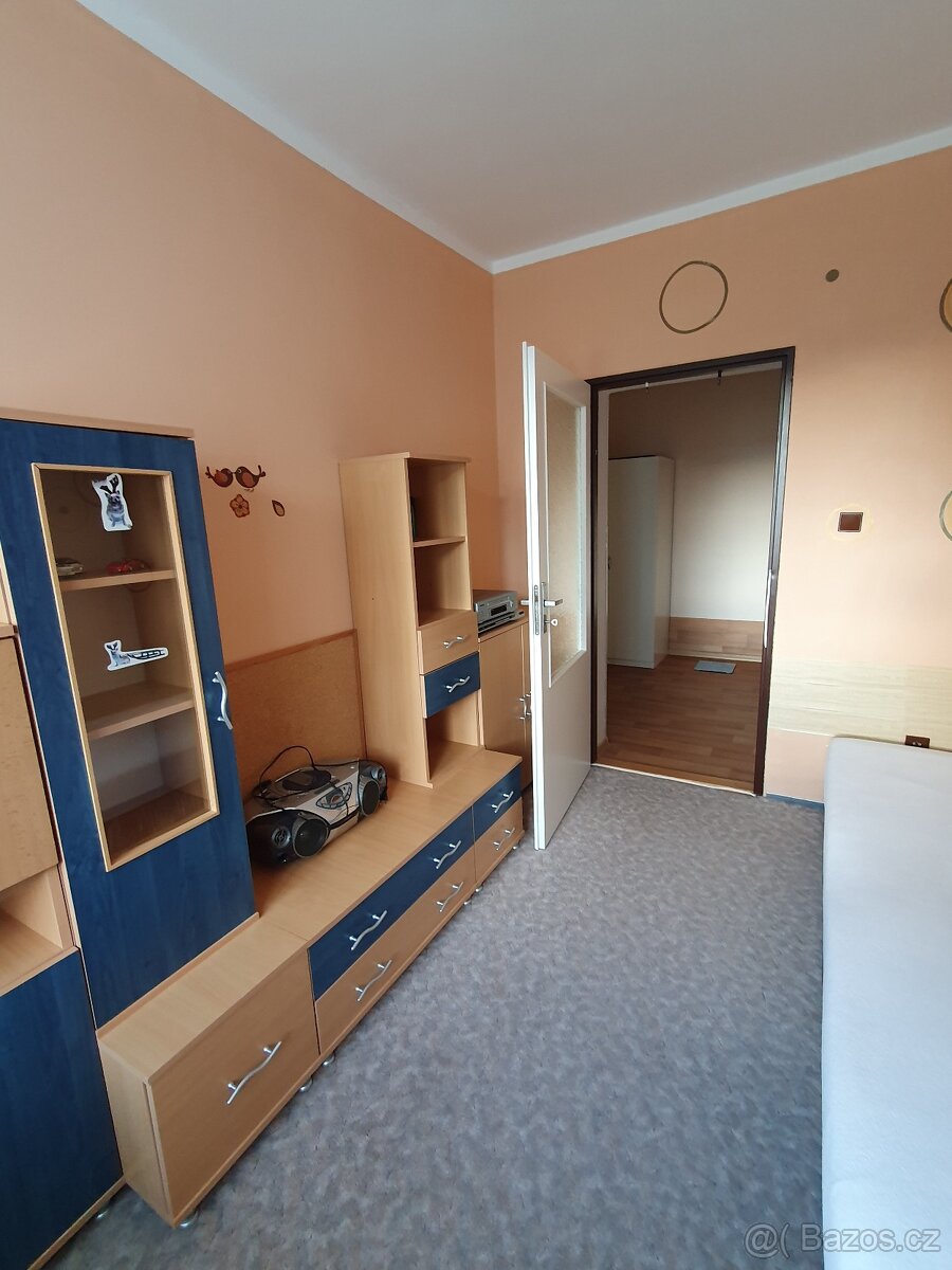 Bytu 4+1, 110m2, Mikulovice 790 84 - 11