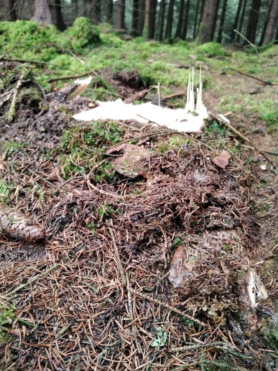 Harvestor Lokomo Makeri M34T - 11