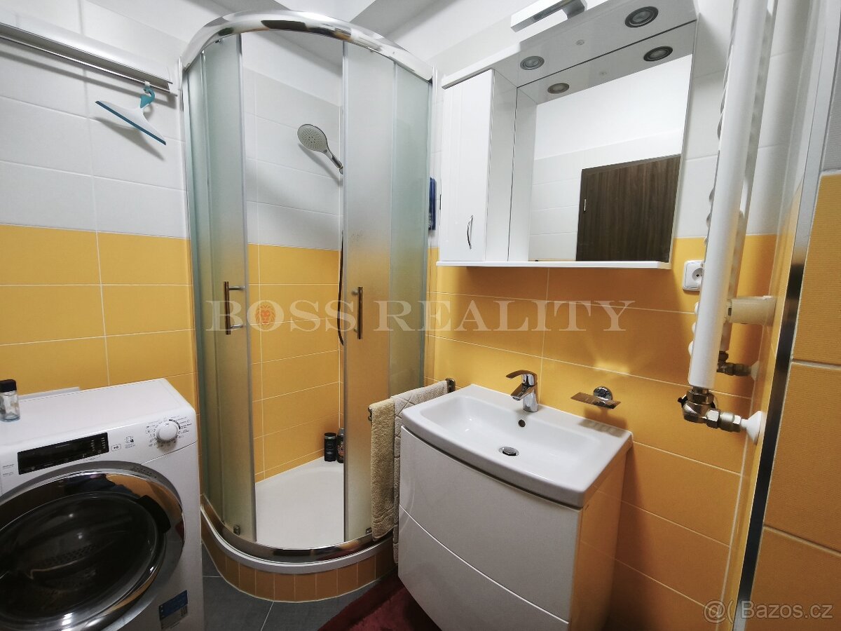 Slunný byt 1+kk s balkónem, sklepem a garážovým stáním - 11