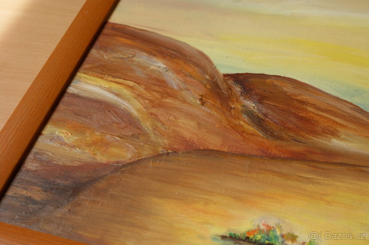 knihy a obrazy, třeba někoho ještě potěší - 11