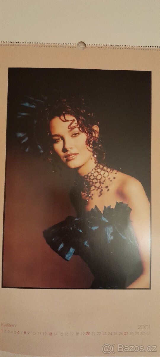 UMĚLCI V OBRAZECH..FOTOKALENDÁŘ - JADRAN ŠETLÍK ROK 2001 - 11