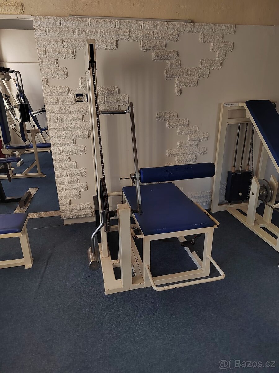 CELÁ POSILOVNA, STROJE, ČINKY - 11