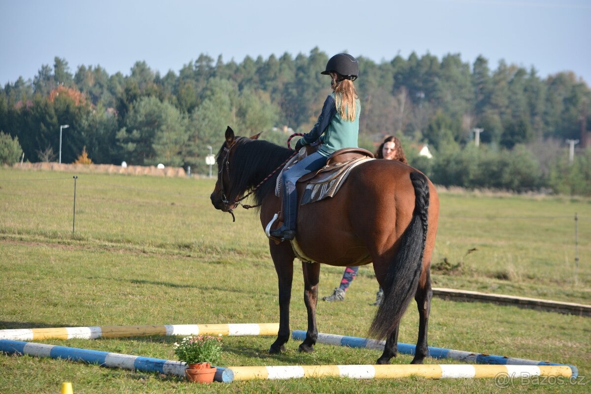 Ustájení Třeboňsko - 11
