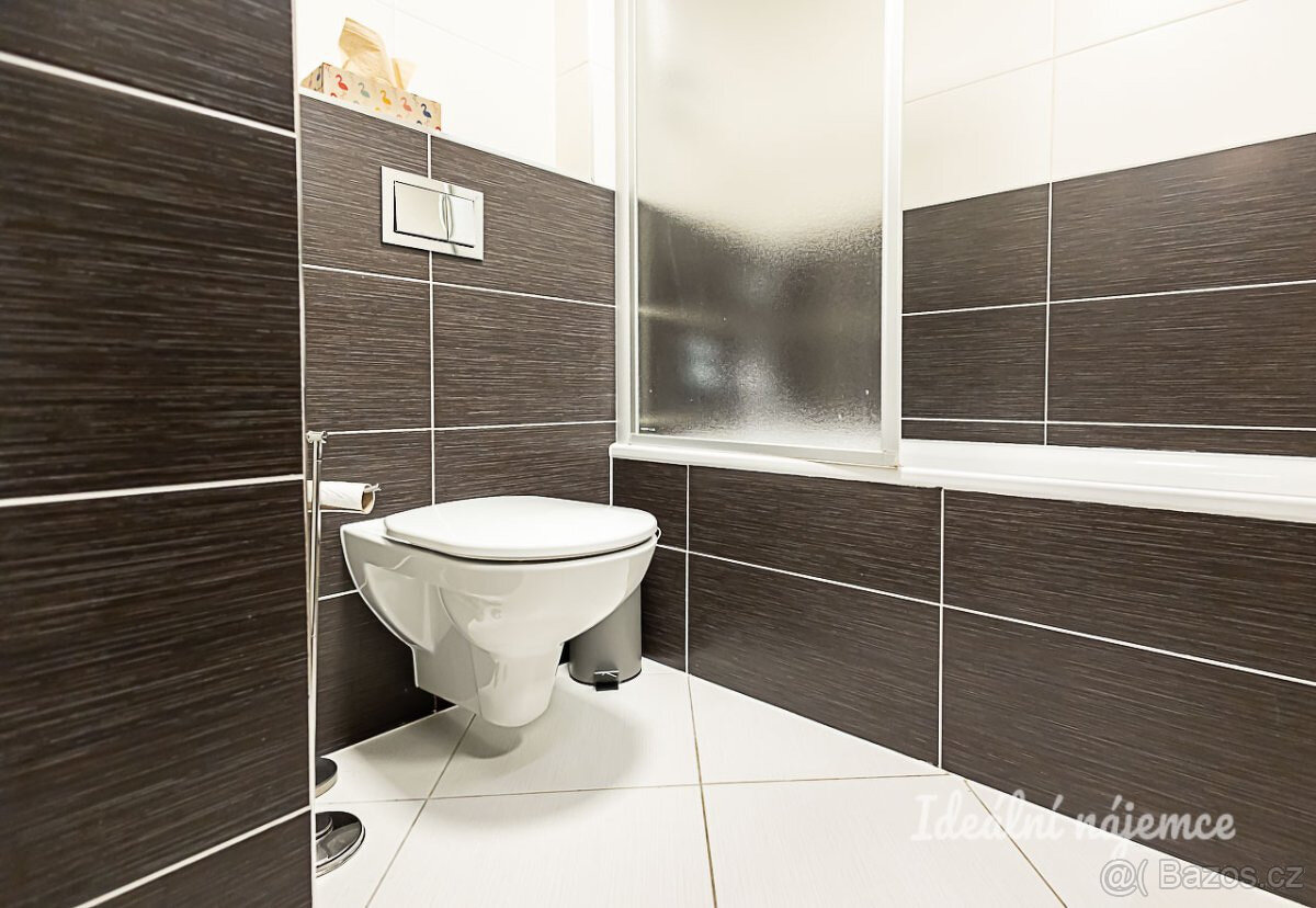 Pronájem bytu 2kk 55m2 - 11