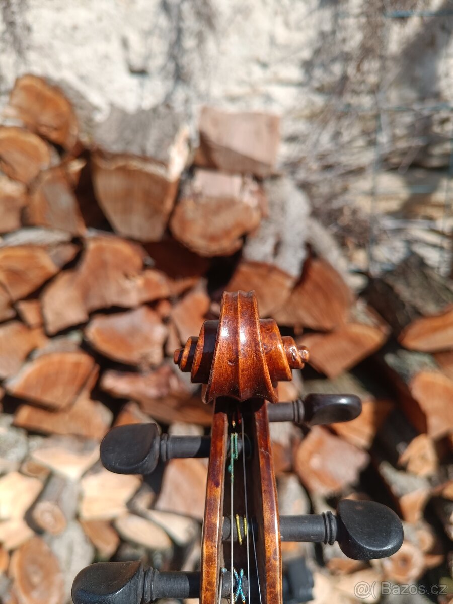 Housle Prokop očkový javor - 11