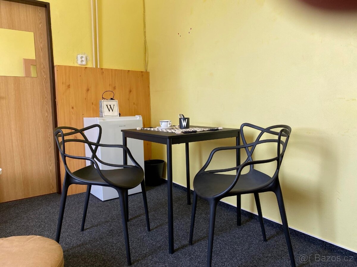 Pronajem apartmanu / nic víc neplatíte cena kompletní - 11