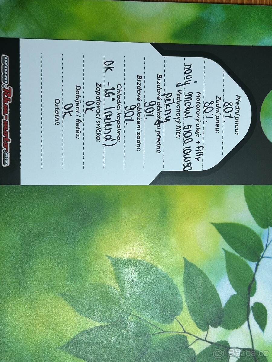 Benelli Leoncino 500 - 11