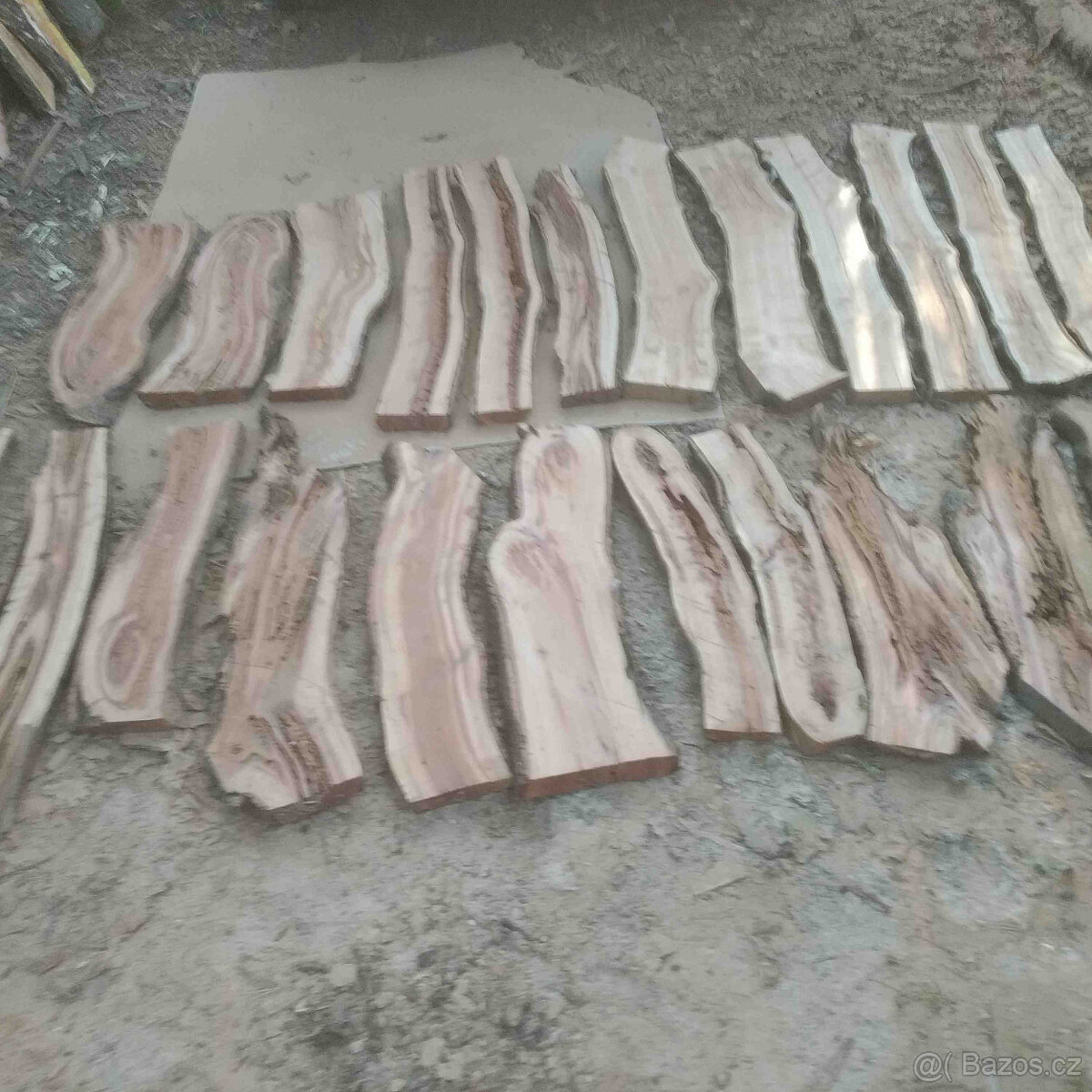 švestka fošny 4cm silné,vhodné do pryskyřice a na dekoraci - 11