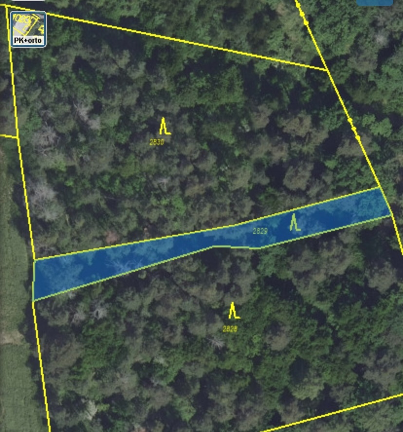 Lesní pozemek Chářovice - 11