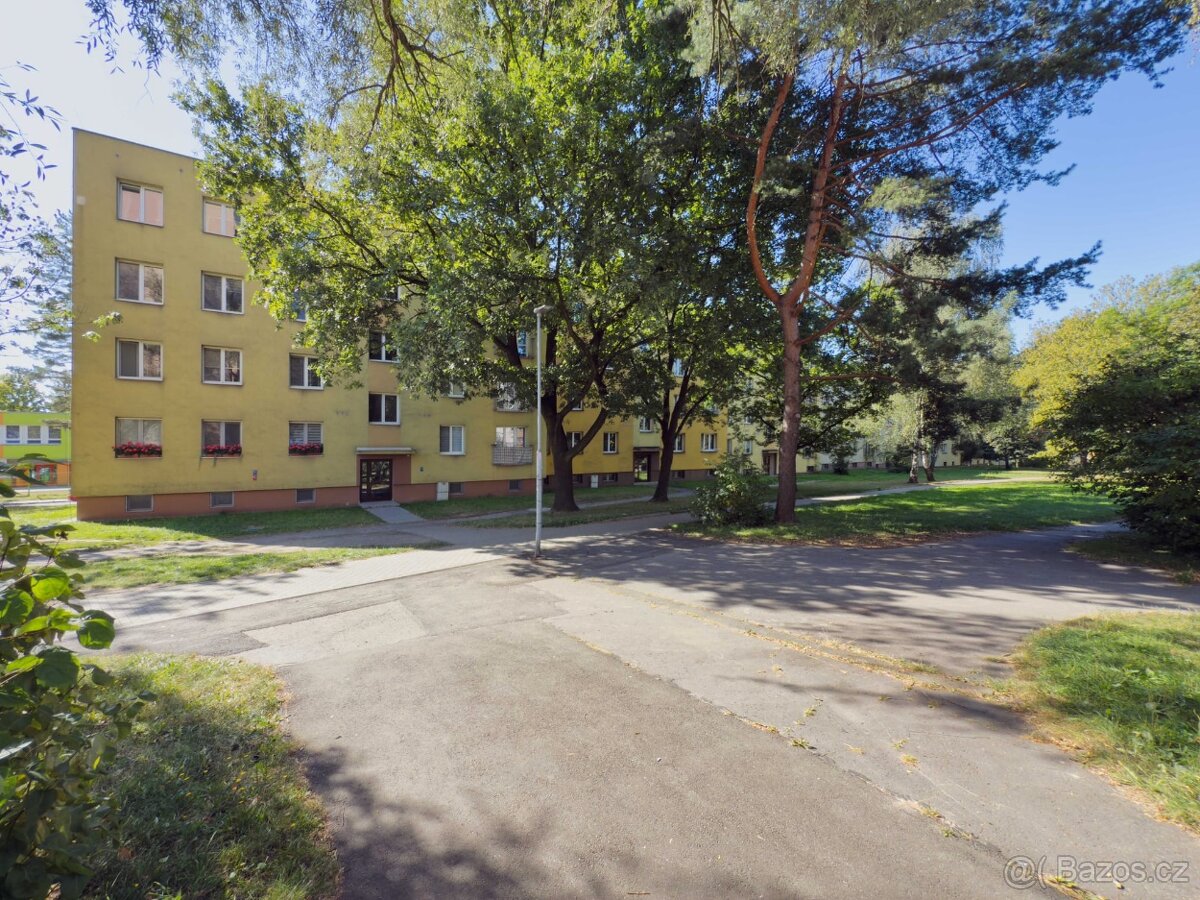 Pronájem bytu 3+1 - 11