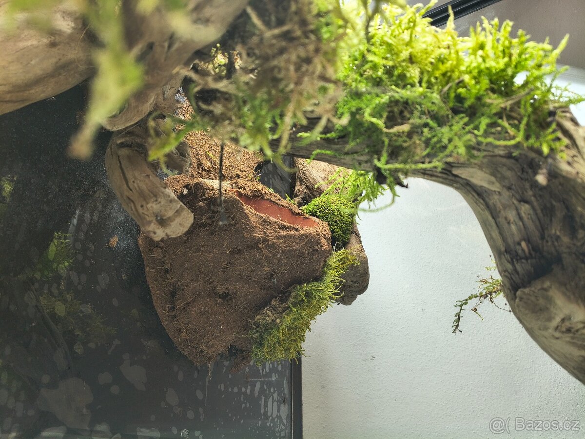 Terárium velké 60x45x45 - 11