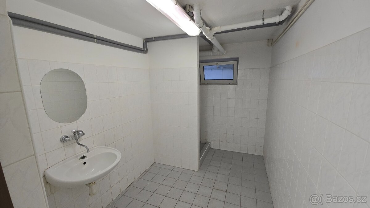 Pronájem zatepleného skladového prostoru (400-1246 m²) u D1 - 11