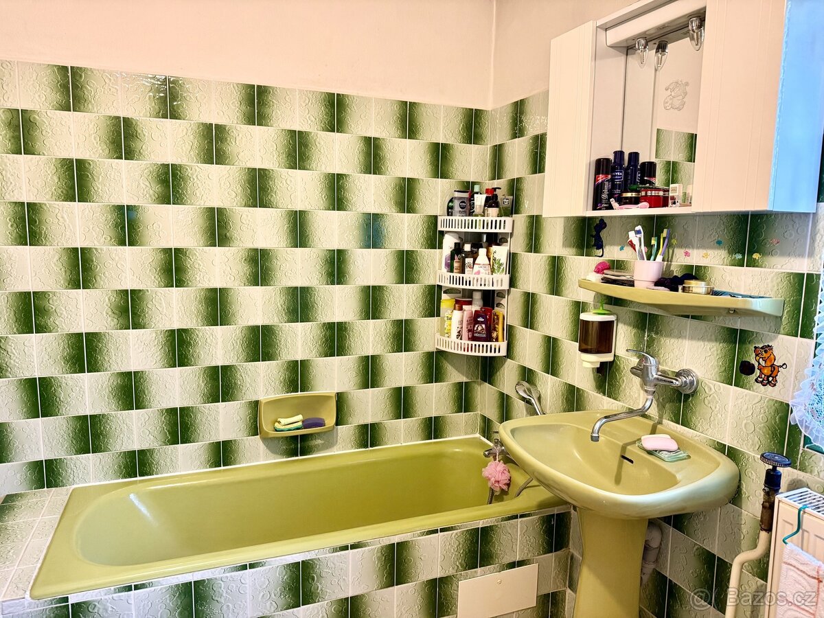 Komerční nemovitost s širokým využitím – dvě bytové jednotky - 11