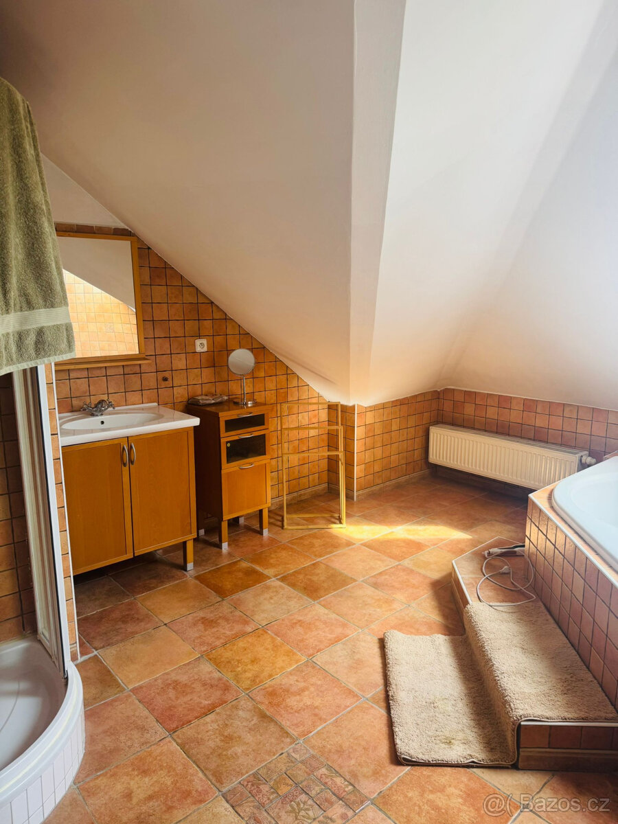 ----- ČIŽOVNÍ DŮM V BÍLINĚ ----- - 11