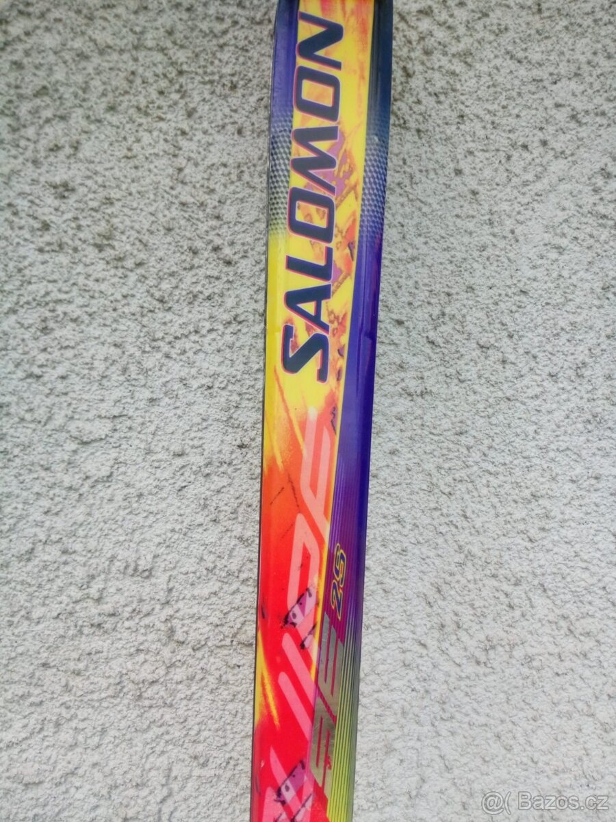 Lyže , lyžařské boty ,Lyžařské hole - 11