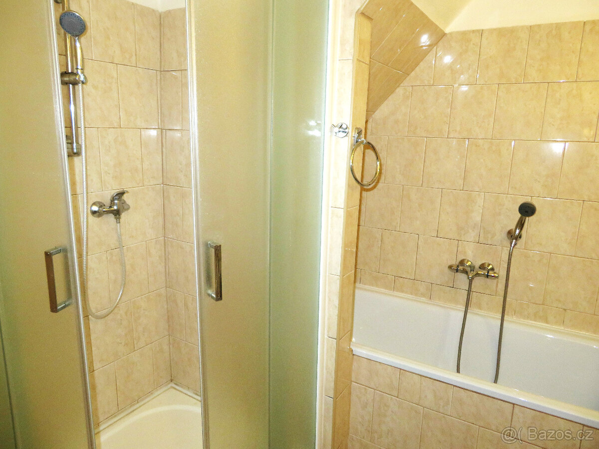 Prodej rodinný dům se sklepem, dvorkem, zahradou a stodolou - 11