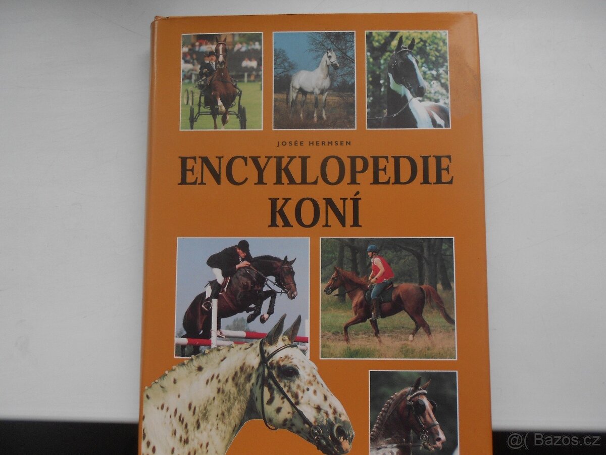 rybáři, zvířectvo, ptactvo, koně - 11