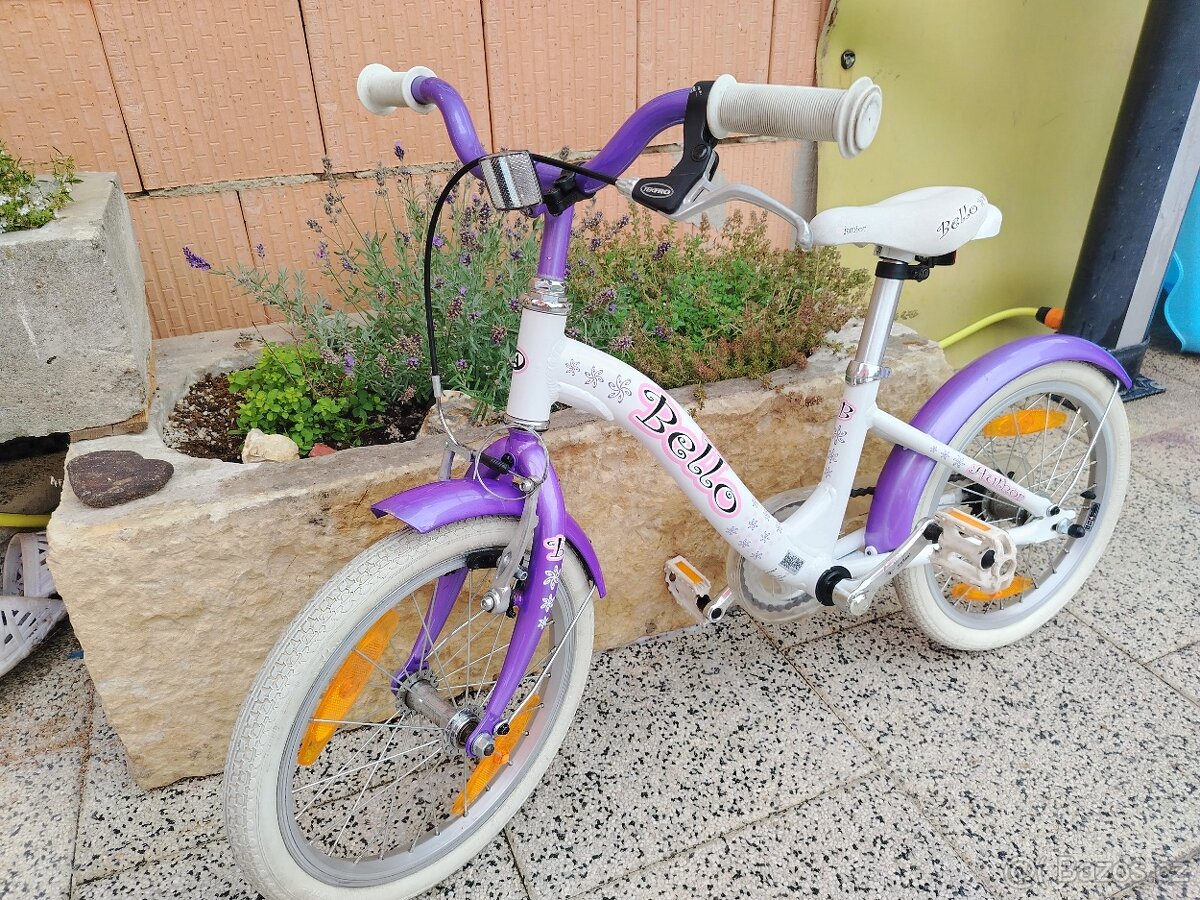 Author Bello 16 2019 - 11