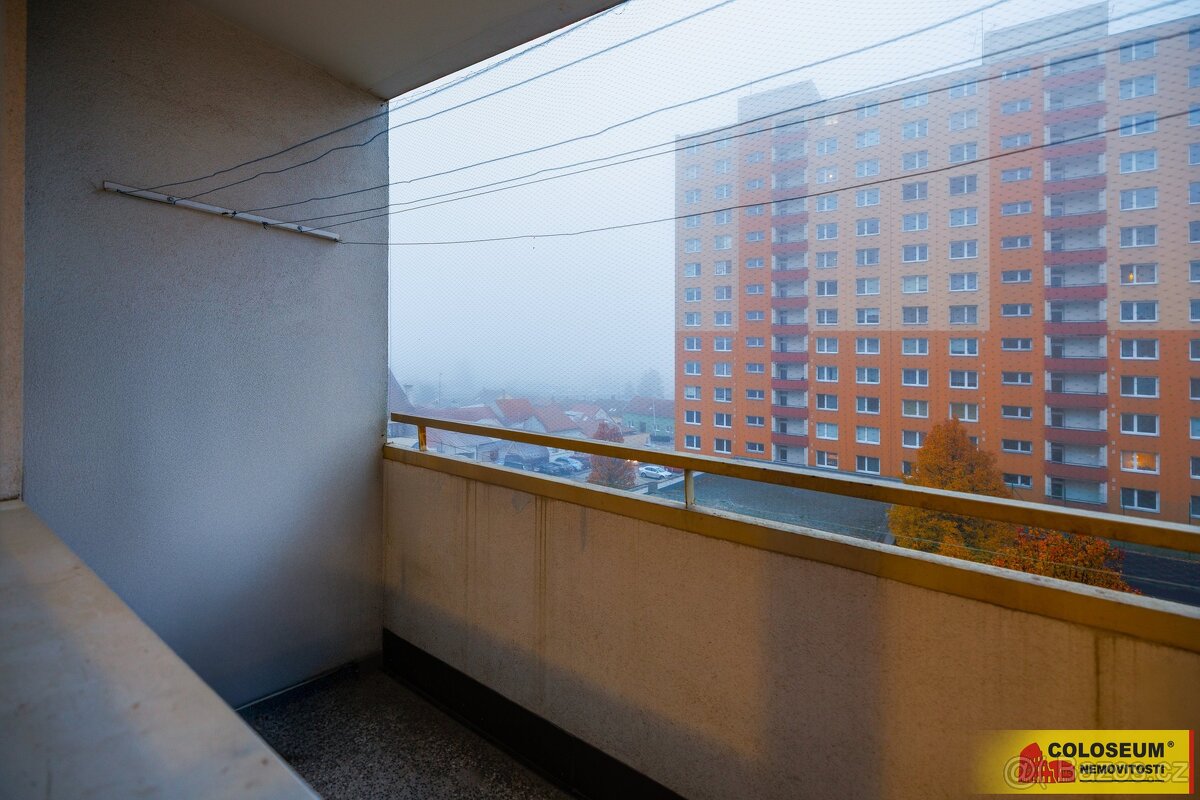 Brno - Královo Pole, byt OV 1+1, sklepní kóje, lodžie, inves - 11