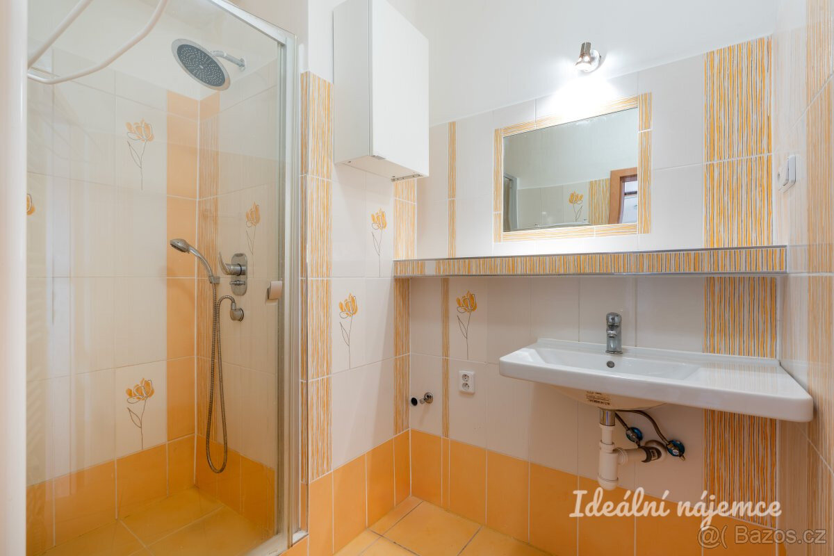 Pronájem bytu 2+kk, Kladenská, Vokovice, 66 m2 - 11