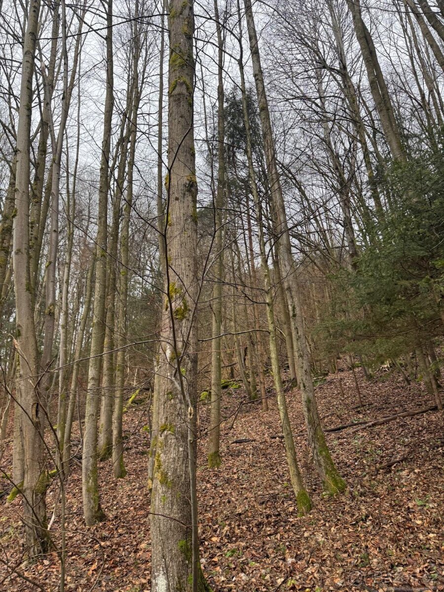 Prodej pozemků k.ú. Huslenky (3) - 11