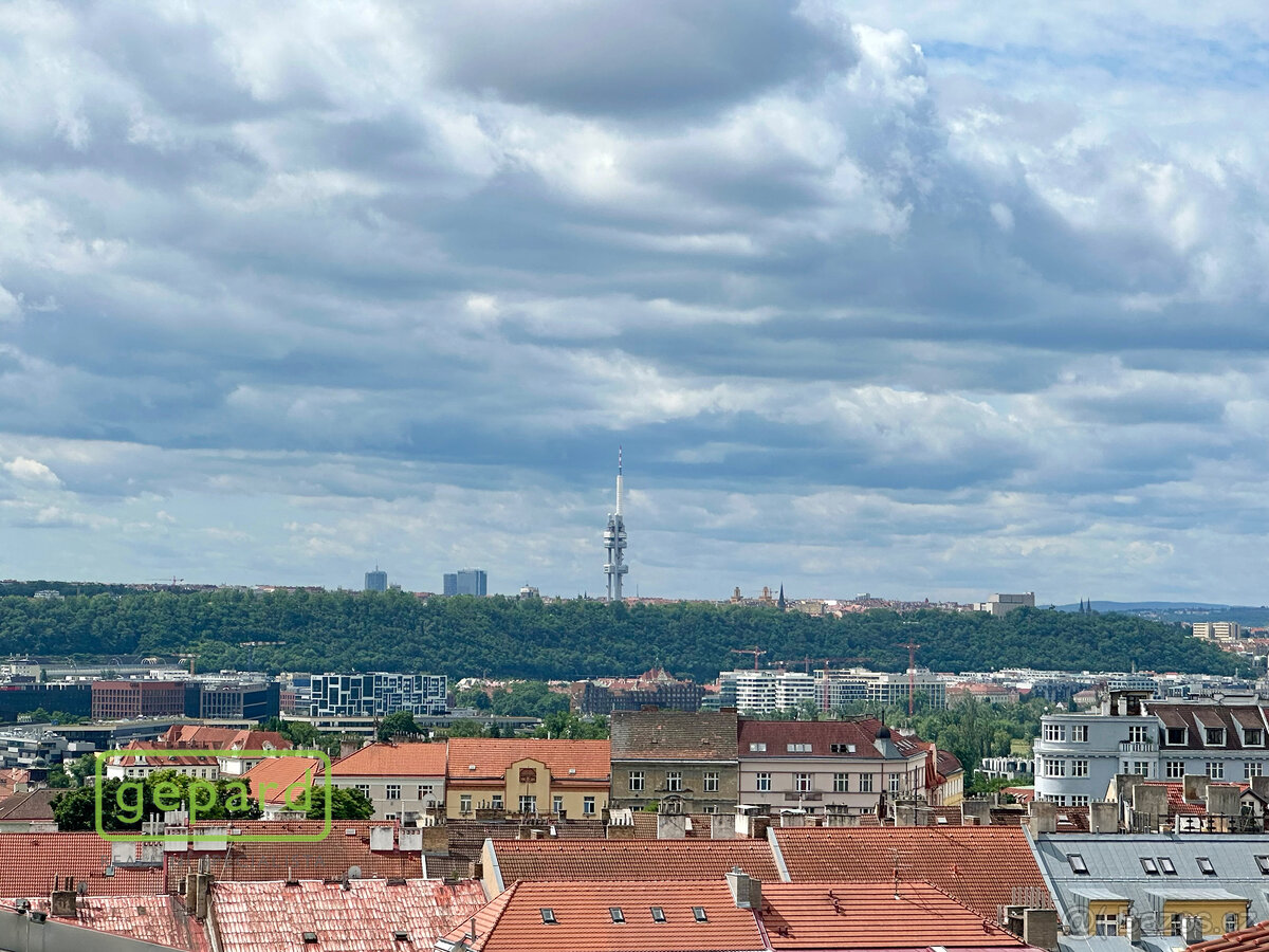 Krásné 2+kk 69,31 m2 v domě z roku 2012, lodžie, garáž, skle - 11
