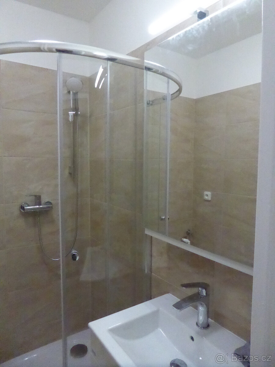 Pronájem bytu Vídeňská - 11