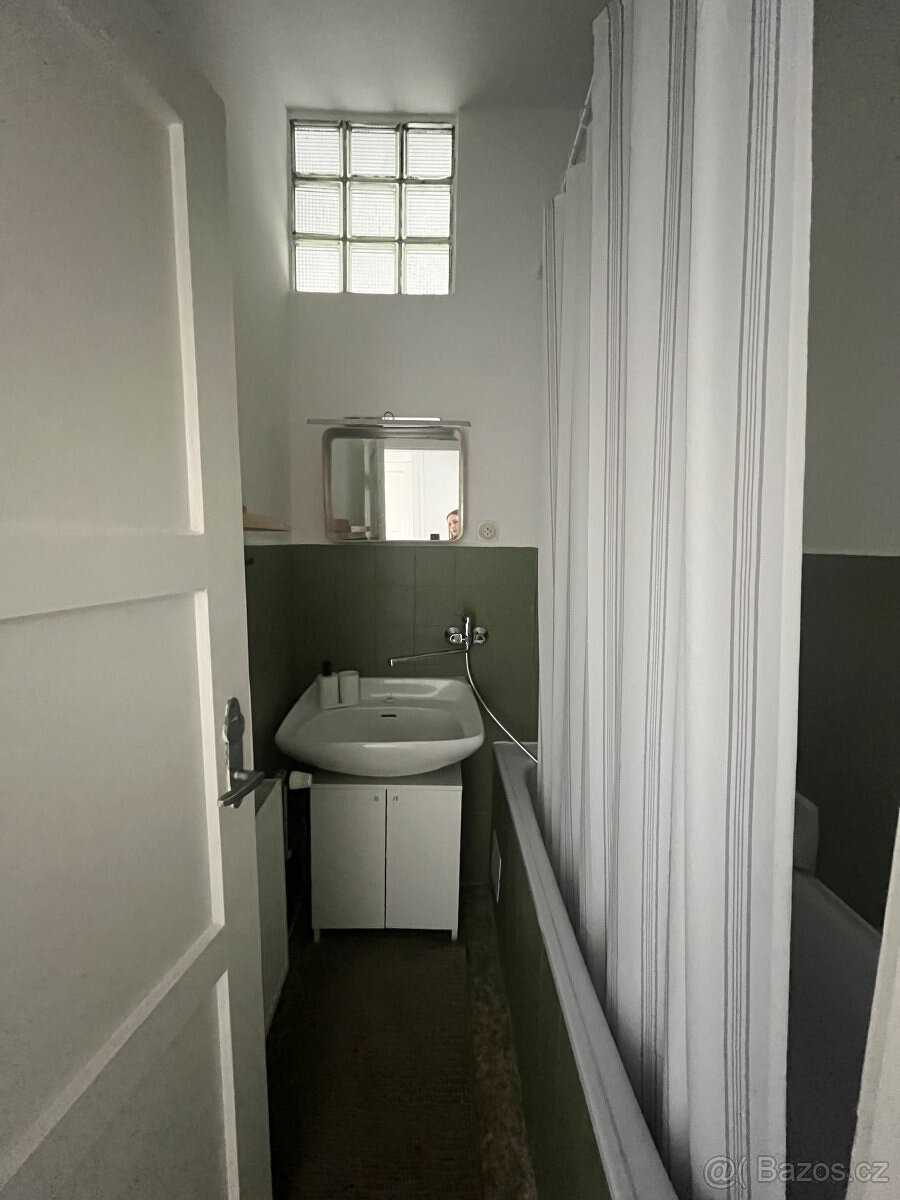 Pronájem bytu se zahradou 3+1, Matochova, Hejčín, 17 000 Kč/ - 11