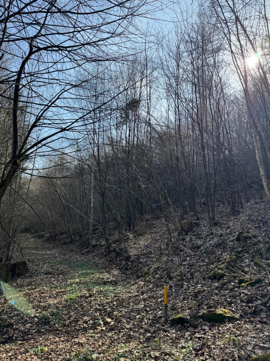 Prodám pozemky v katastrálním území Louňovice pod Blaníkem - 11