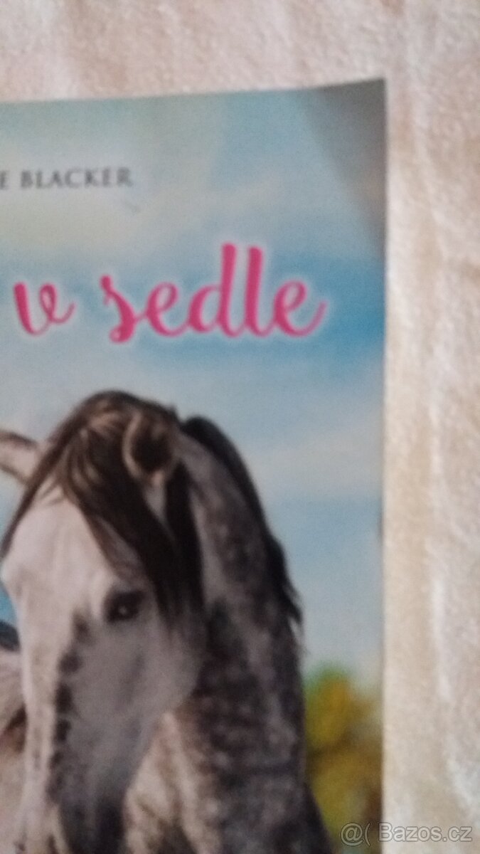 Knihy pro dívky - 11