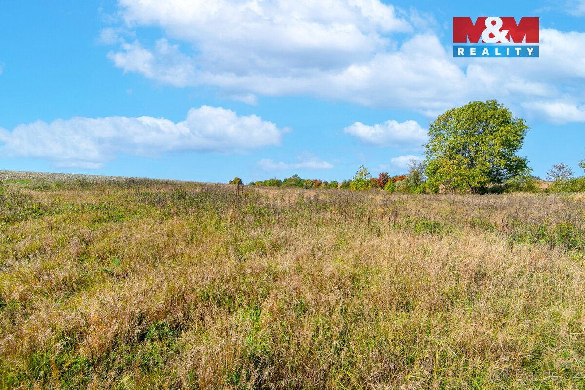 Prodej louky, 1769 m², Krásné Údolí - 11