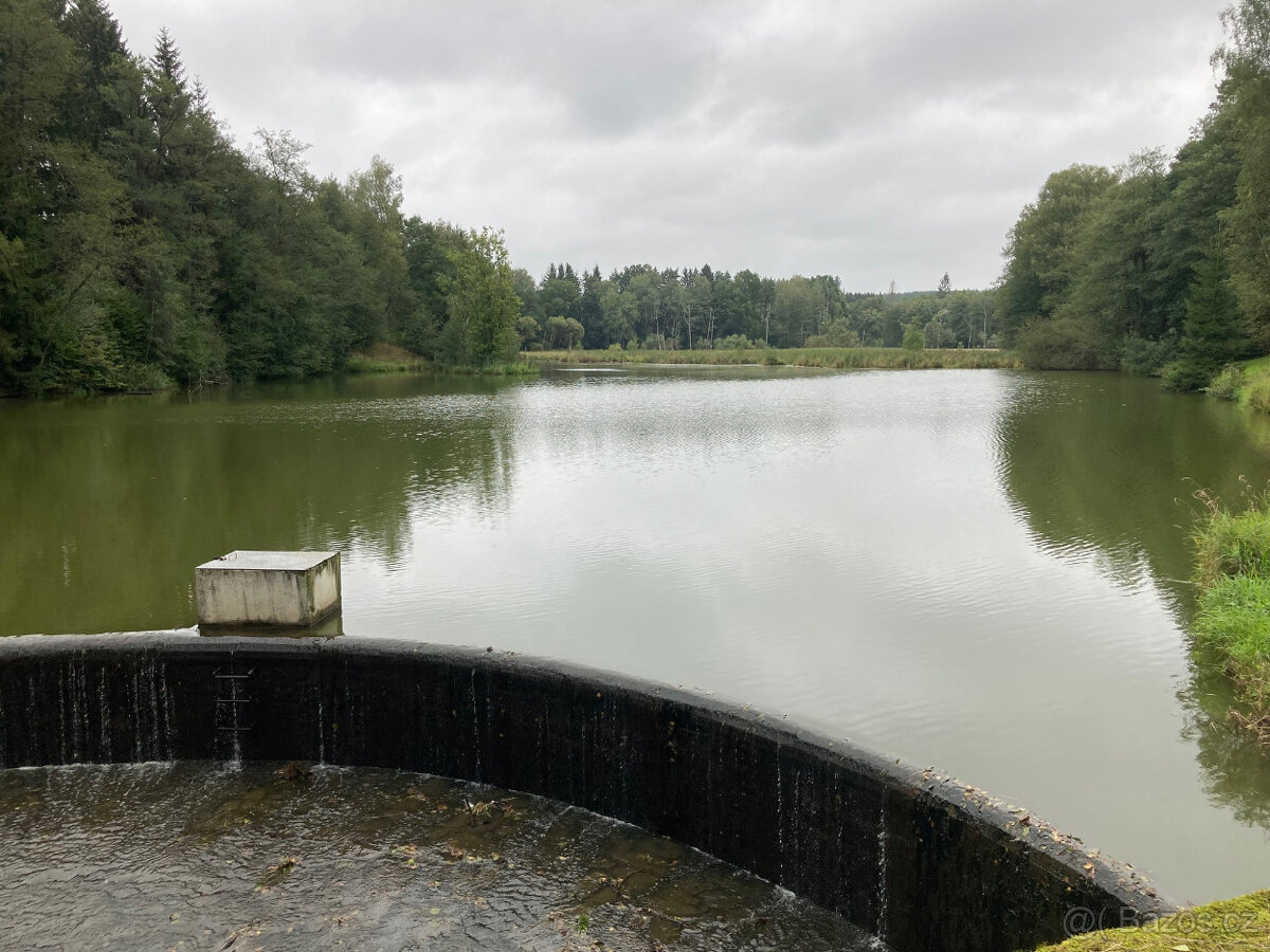 Půvabný mlýn s rybníky, lesy, pastvinami, 5 apartmanů - 11