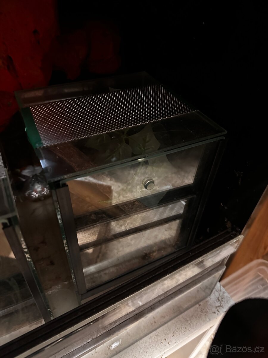 Terárium-akvárium - 11