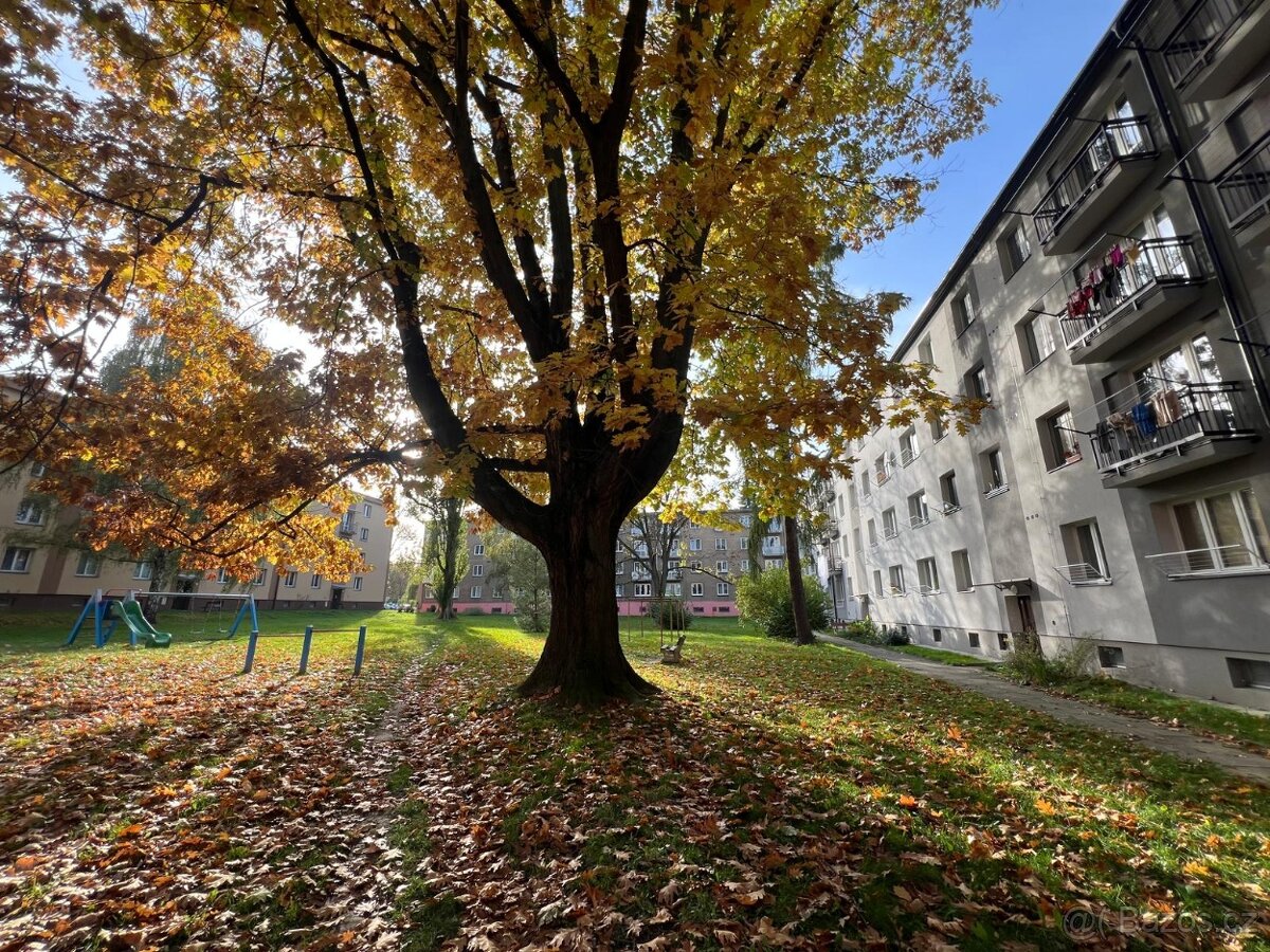 Pronájem, byt 0+1,22 m2, ul. Svazácká, Ostrava -Zábřeh - 11