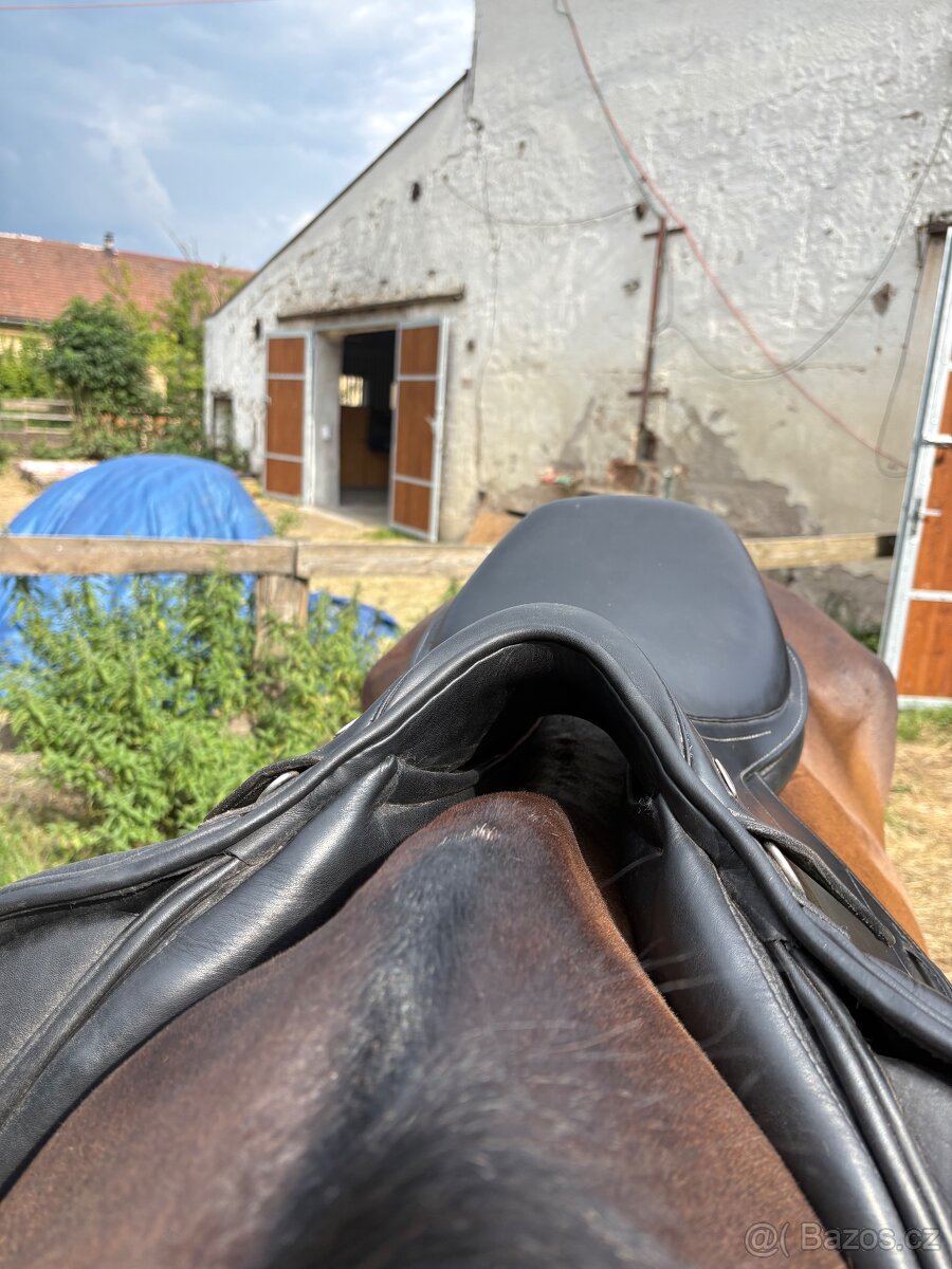 Skokové sedlo Kentaur Titan – 17,5”, komora 2 – TOP stav - 11