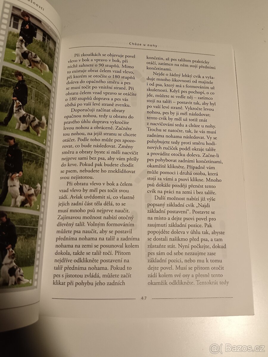Výcvik psa k dokonalé poslušnosti - 11