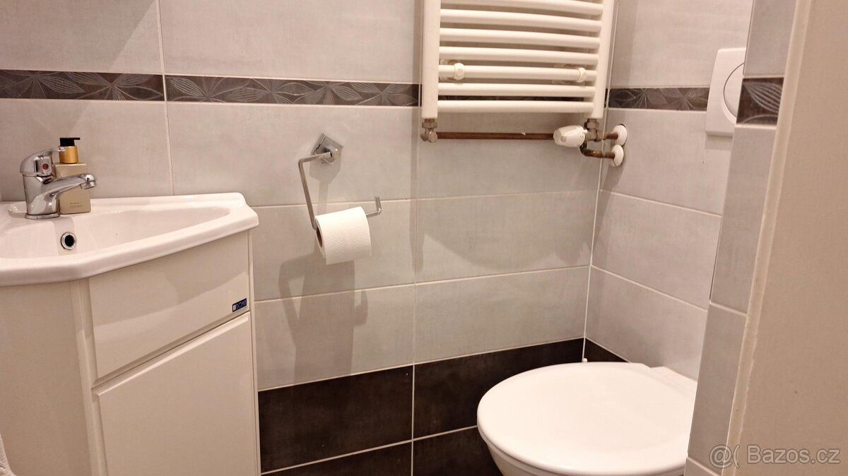 Pronájem bytu 3+1, 90 m2, Zelenobranská , Pardubice - 11