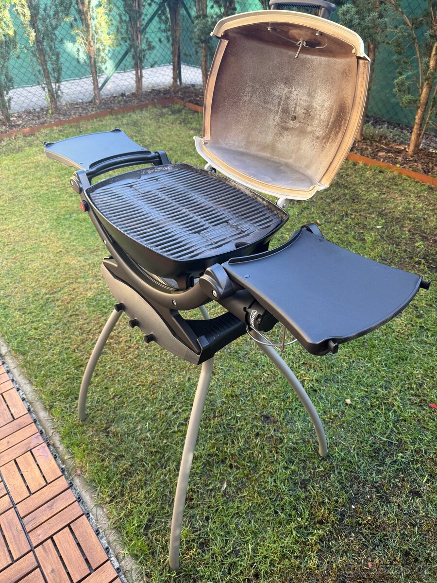 Gril Weber q 120 - 11