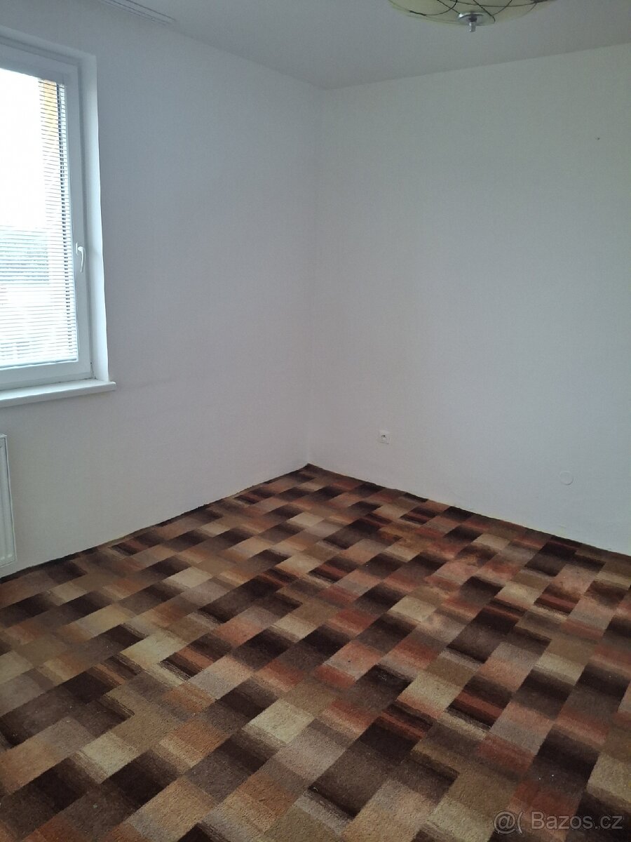 Pronájem bytu 3+1,J.Hradec - 11