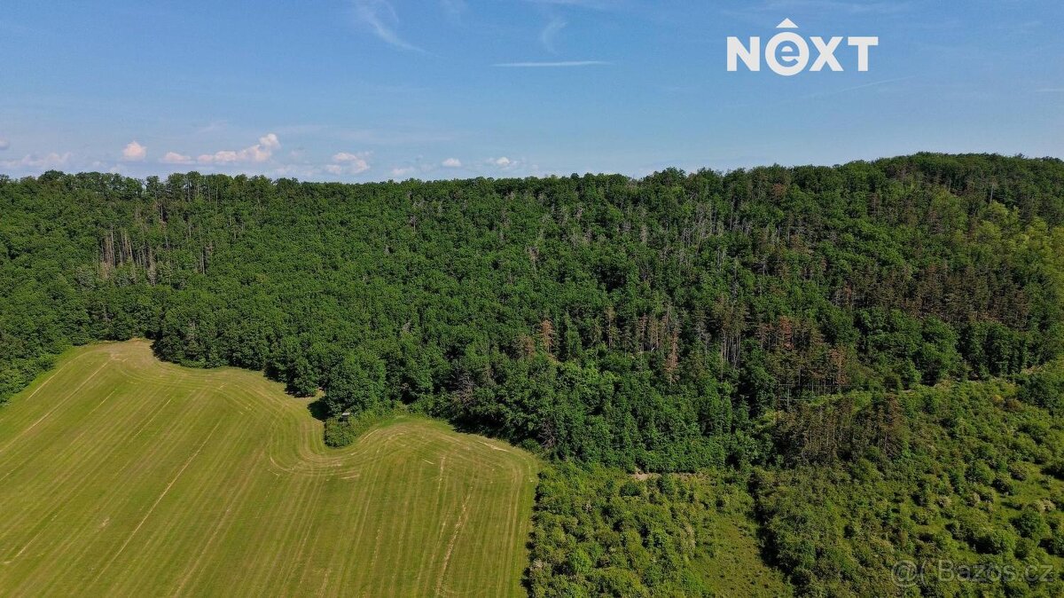 Prodej pozemek Lesy, 3149㎡ - 11