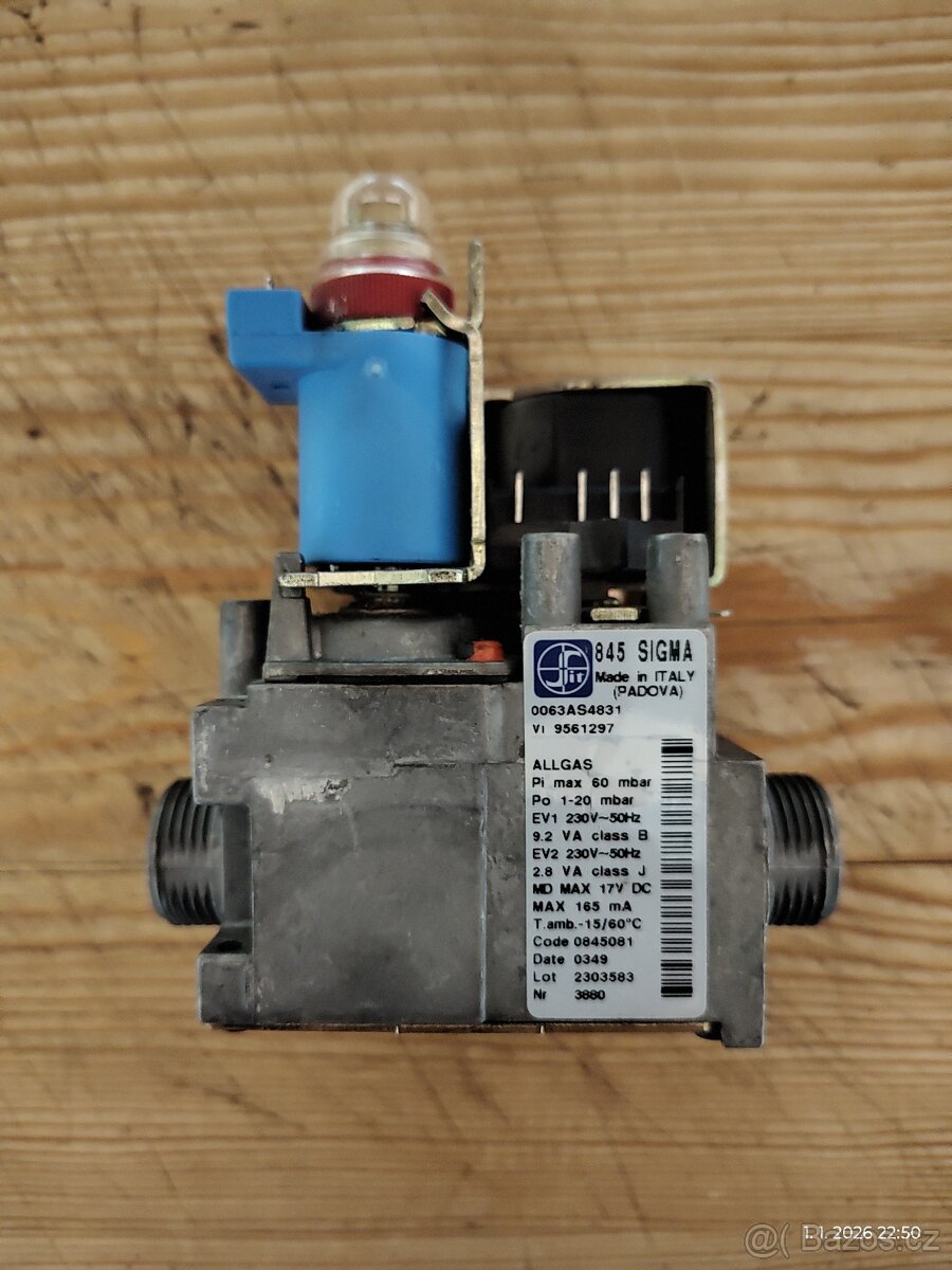 VM Vitopend 100 (WH06) - 11