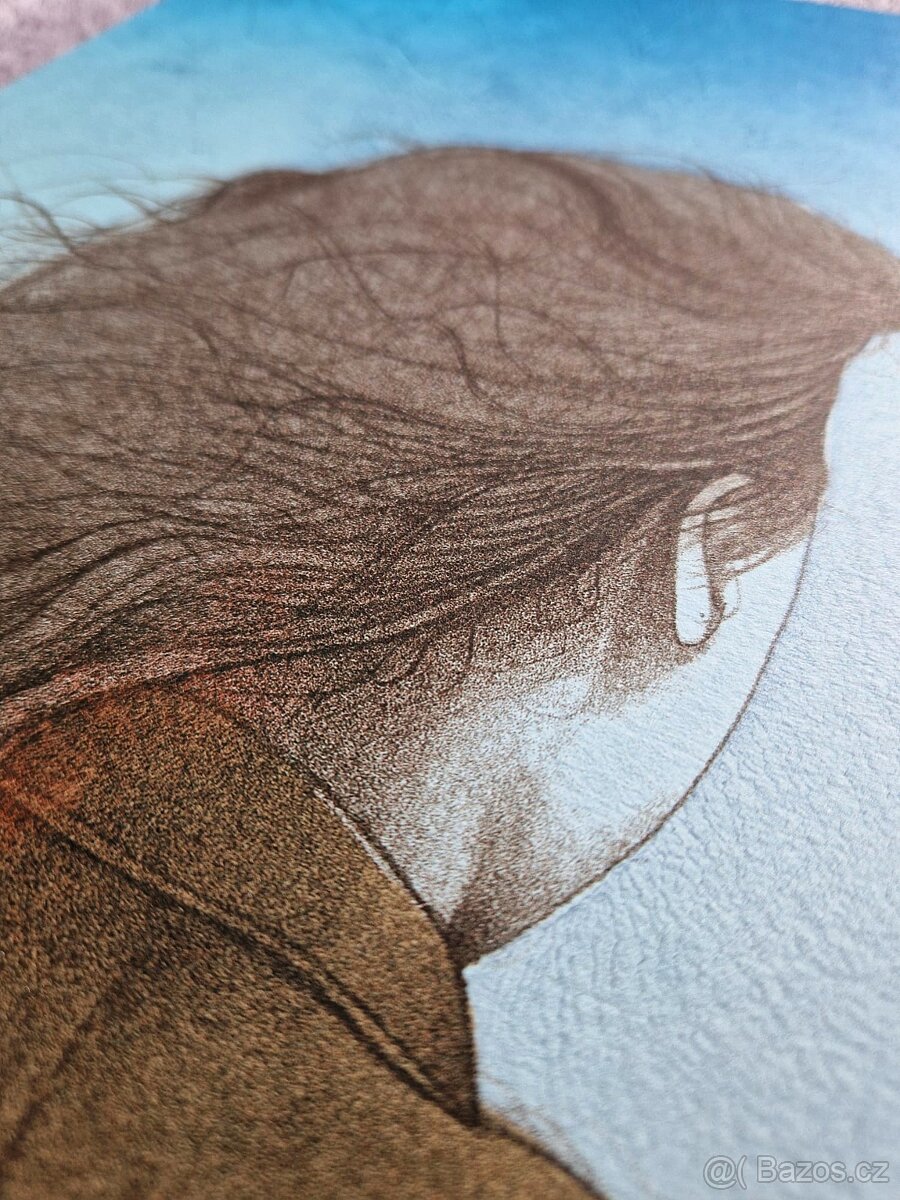 Bruno Bruni - (podpísaná litografia) ,(figurálny realizmus) - 11