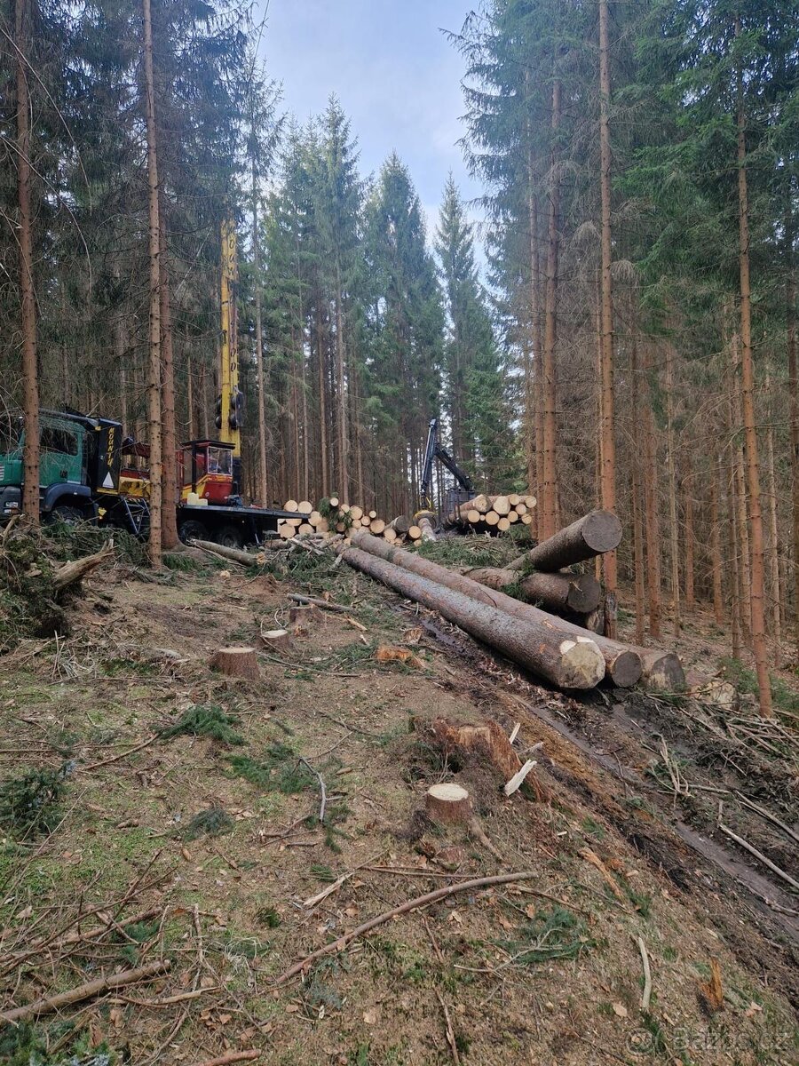 Lesni lanovka Mounty 4000 samojizdny pracovni stroj - 11