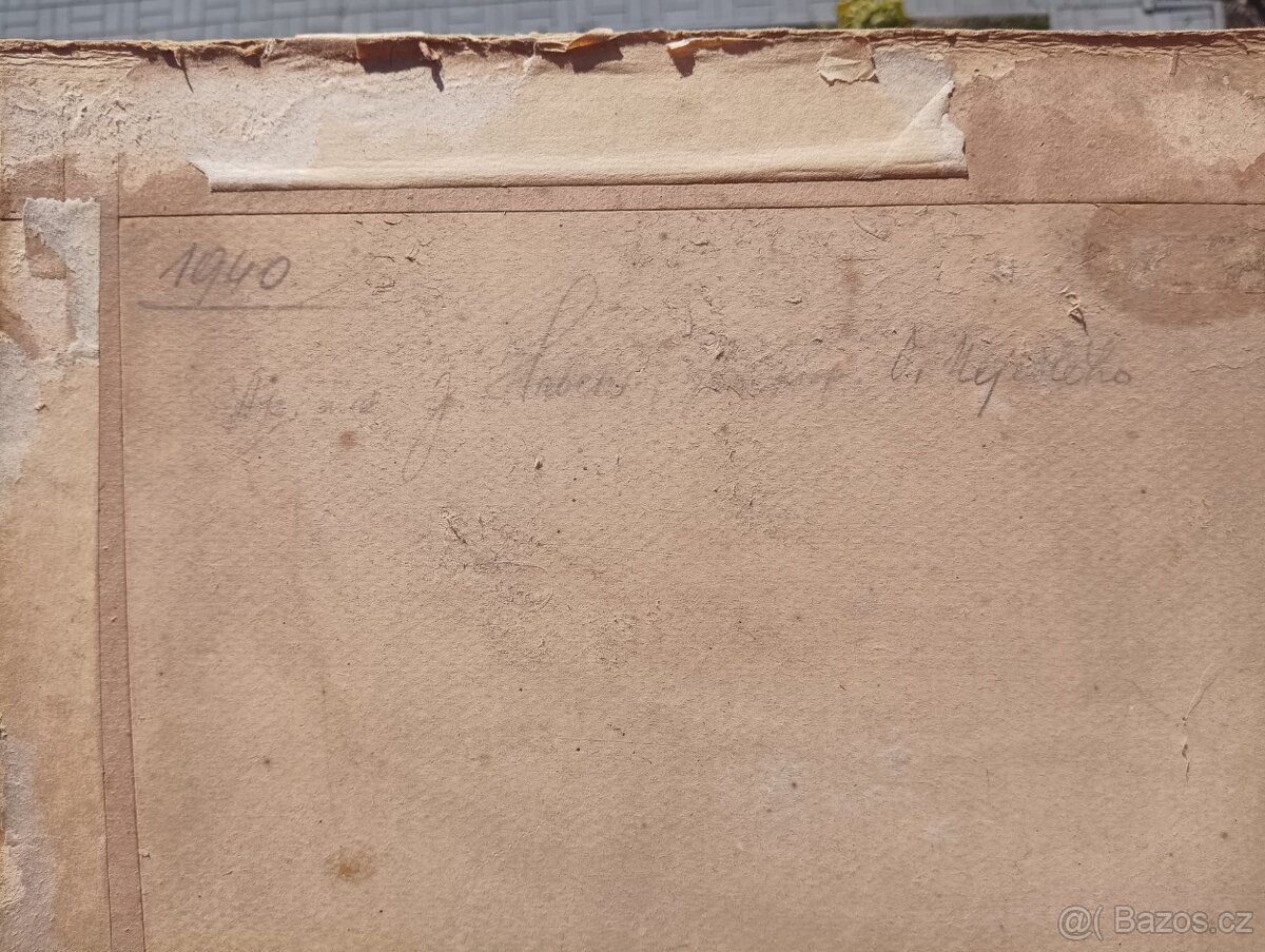 HRBEK OBRAZ OLEJ NA KARTONU - 11