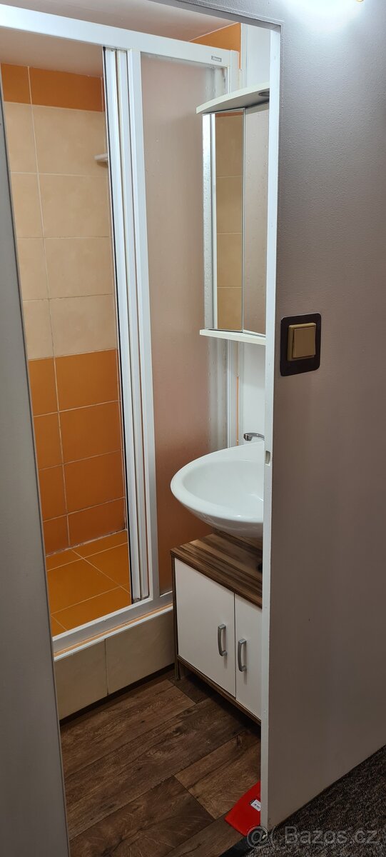 Pronájem bytu 1+1 Ostrava Hrabůvka - 11