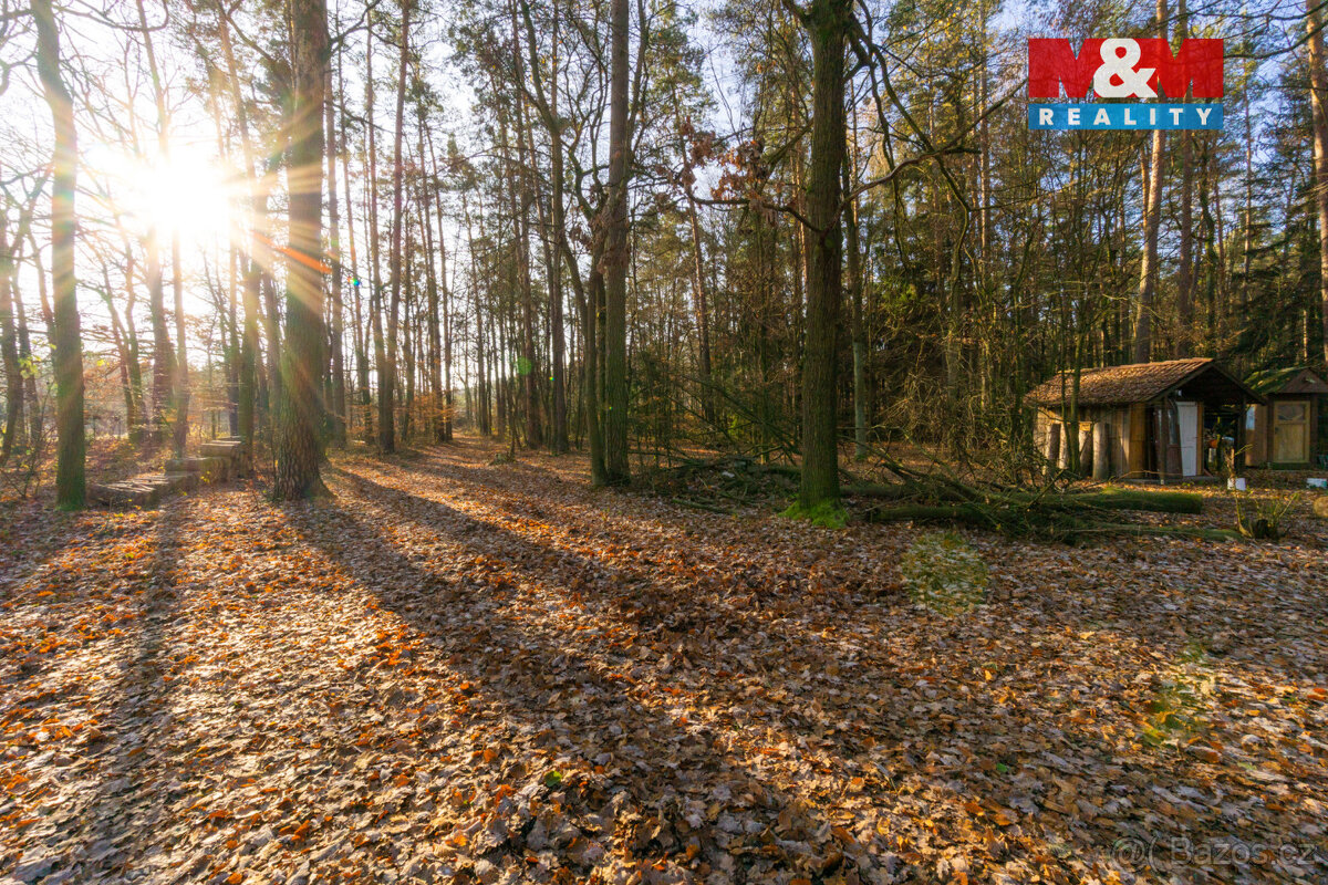 Prodej chaty, pozemek 12 745 m², Štěpánovsko - 11