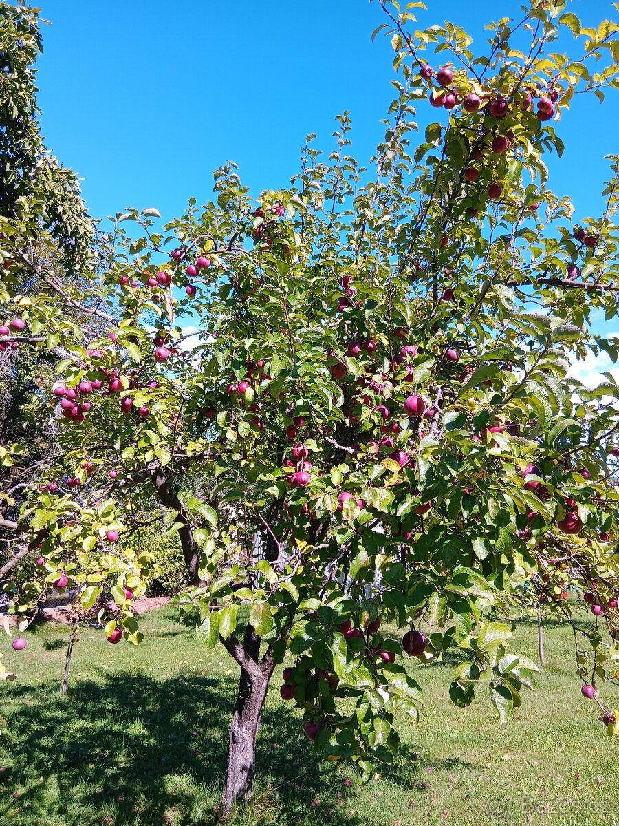 Prodám stavební parcelu - 11