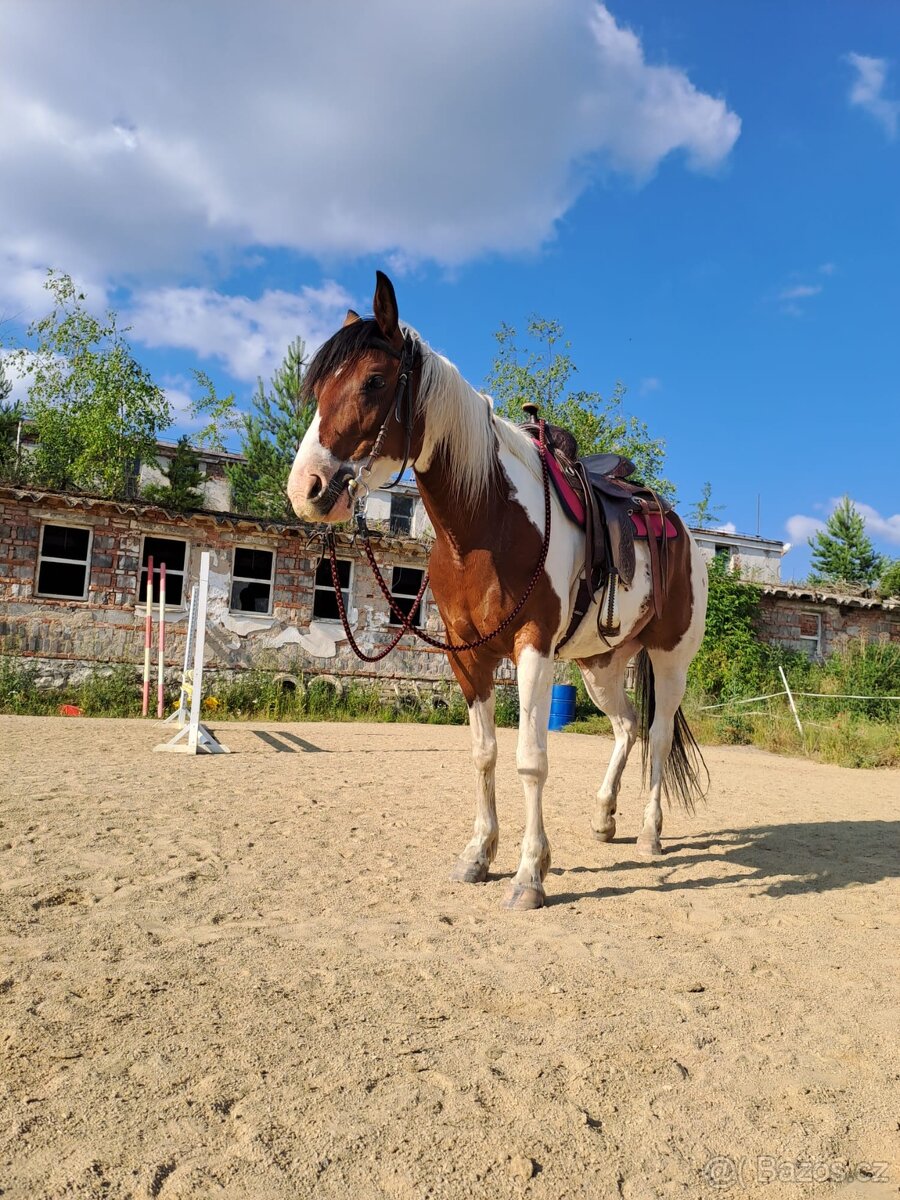 Westernové sedlo - 11