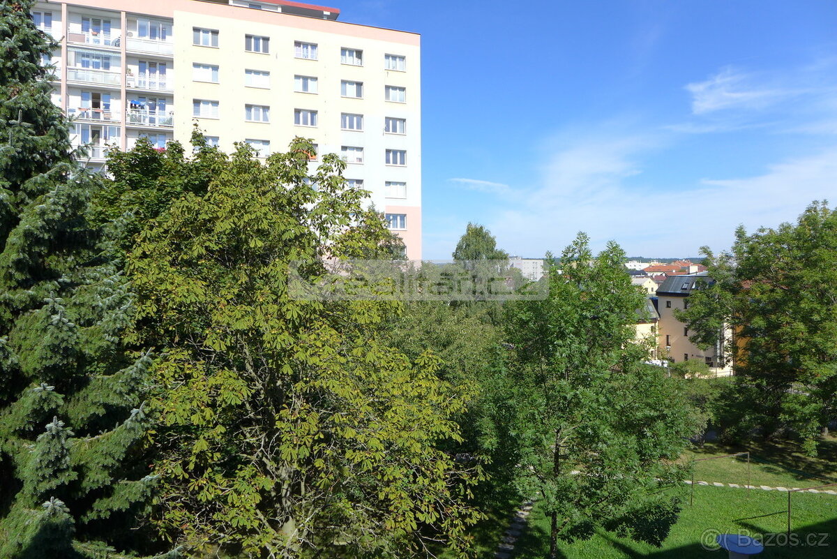 Prodej prostorného cihlového bytu 2+1 s komorou v Plzni na D - 11